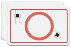 Образец двухчиповой бесконтактной смарт-карты